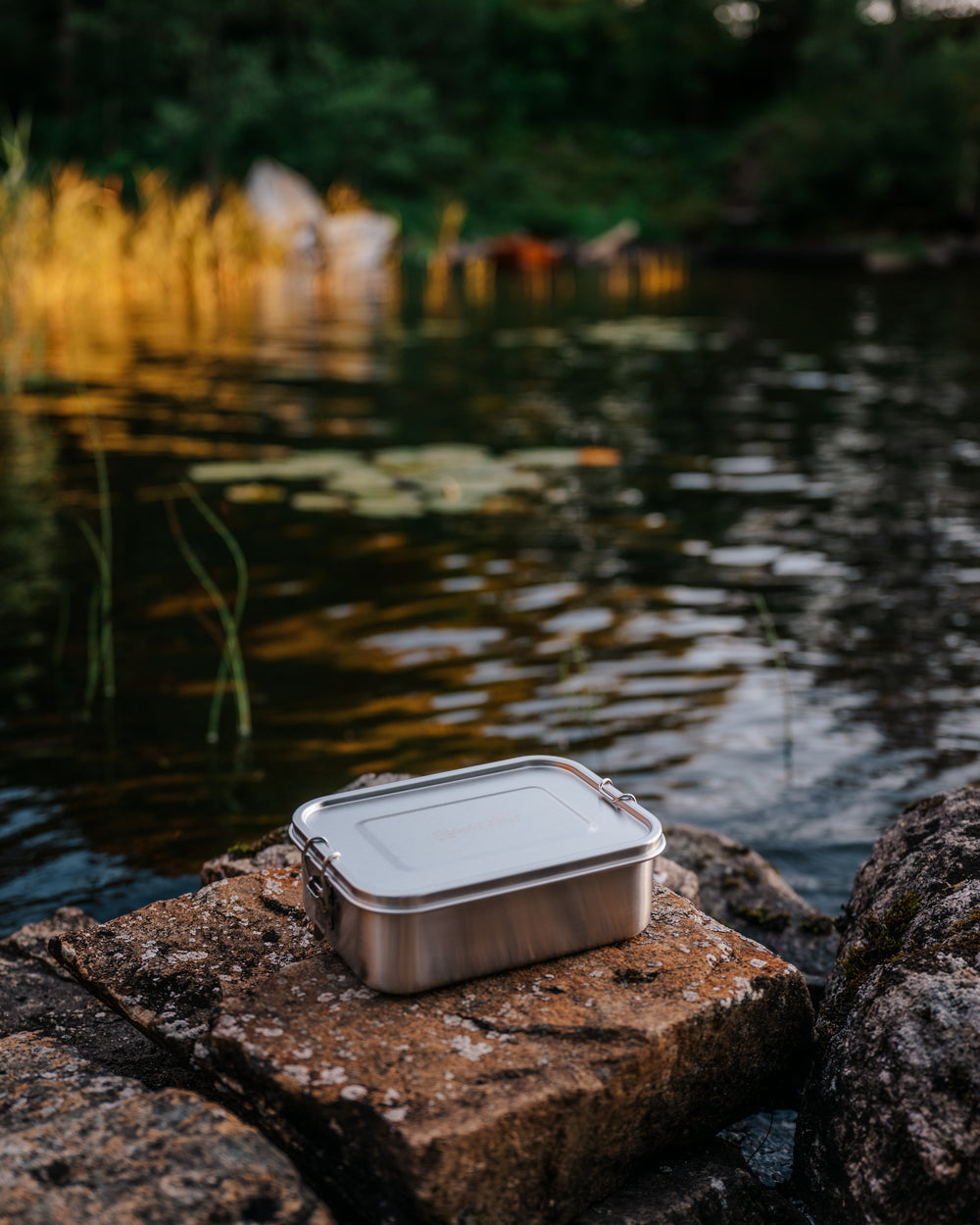 Avantages et inconvénients de la lunch box en inox